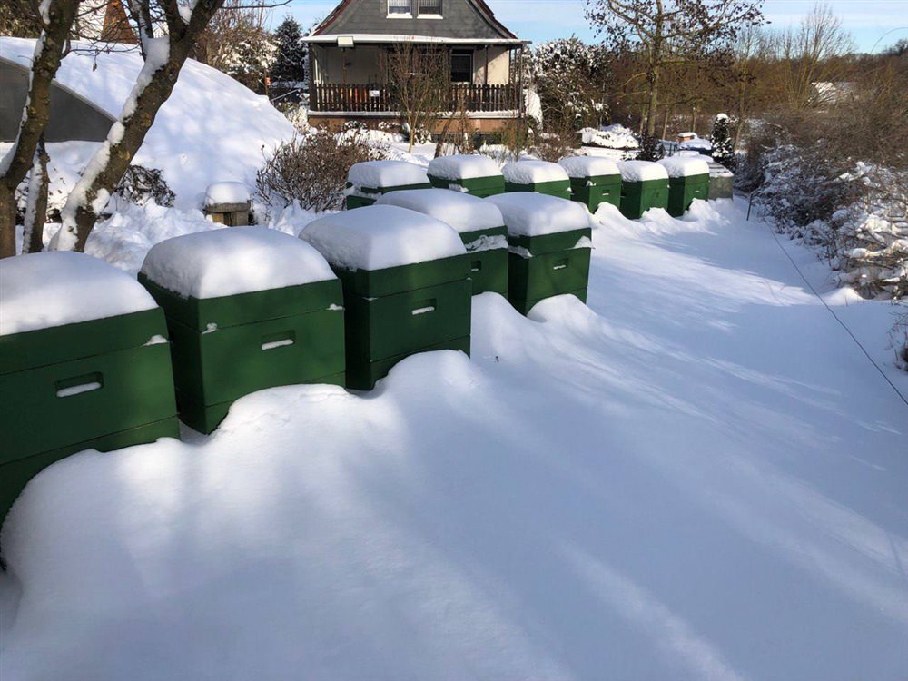 Bienenbeuten mit dicker Schneedecke im Winter