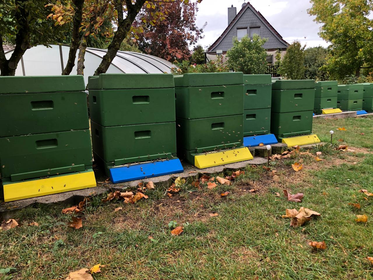 Bienenstand von Mein Schwarm im Tal von Beber und Olbe in Hundisburg, umgeben von Wiesen und Feldern